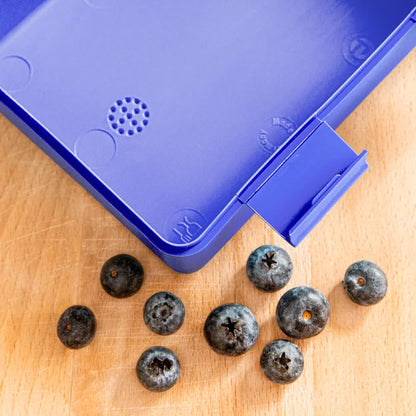 Brotdose - personalisierbar - Royalblau