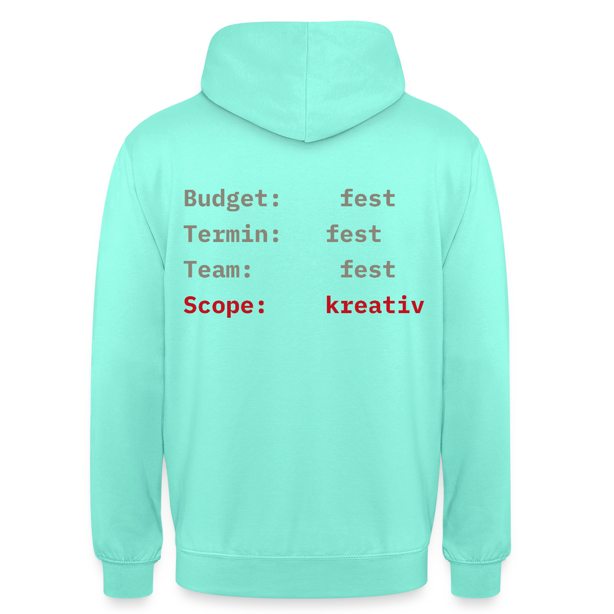 Budget: fest. Termin: fest. Team: fest. Scope: kreativ. Motiv-Hoodie unisex, Farbe Mint