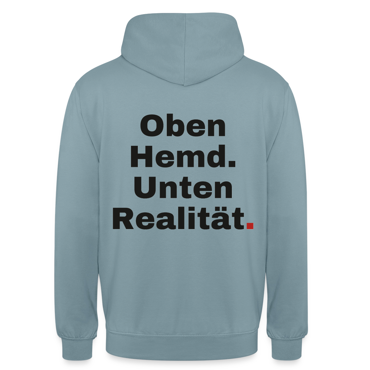 Oben Hemd, unten Realität Motiv-Hoodie unisex, Farbe Nebelblau
