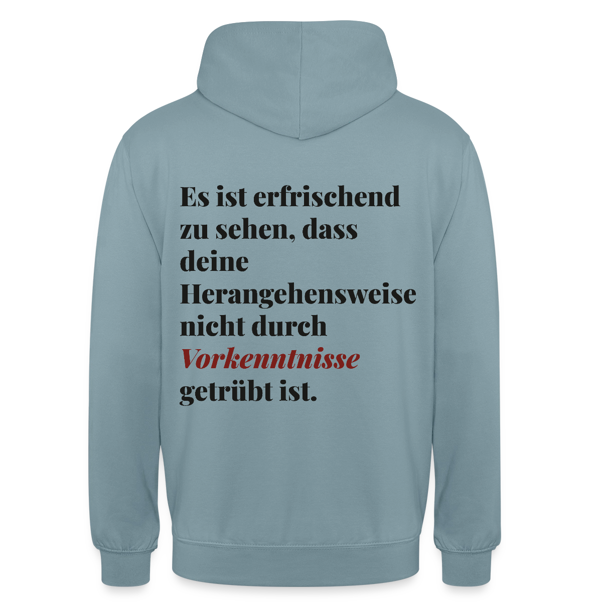 "Es ist erfrischend zu sehen, dass deine Herangehensweise nicht durch Vorkenntnisse getrübt ist." Motiv-Hoodie unisex, Farbe Nebelblau